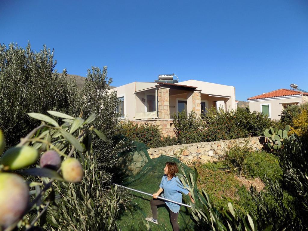 Alkionides Villas Xirókambosz Kültér fotó